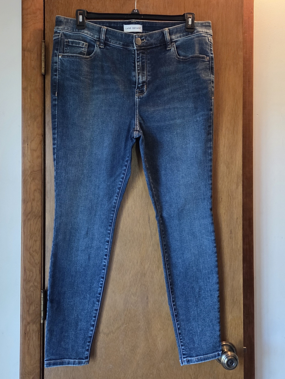 Lane Bryant Medium Wash Skinny Jeans